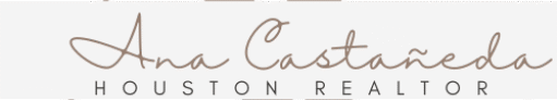 anacastanedahoustonrealtor.com